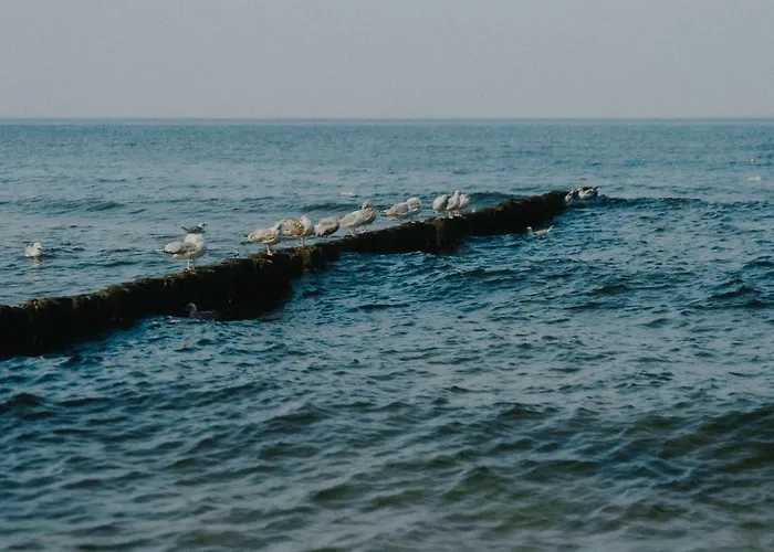 Lodge Wierzbówka Mielno (Koszalin)