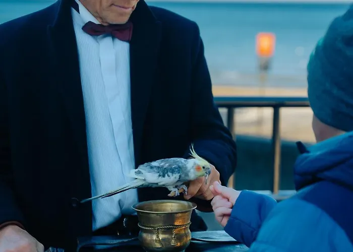 Wierzbówka Lodge Mielno (Koszalin)