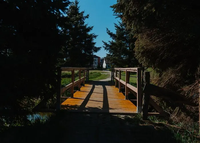 Wierzbówka * Mielno (Koszalin)