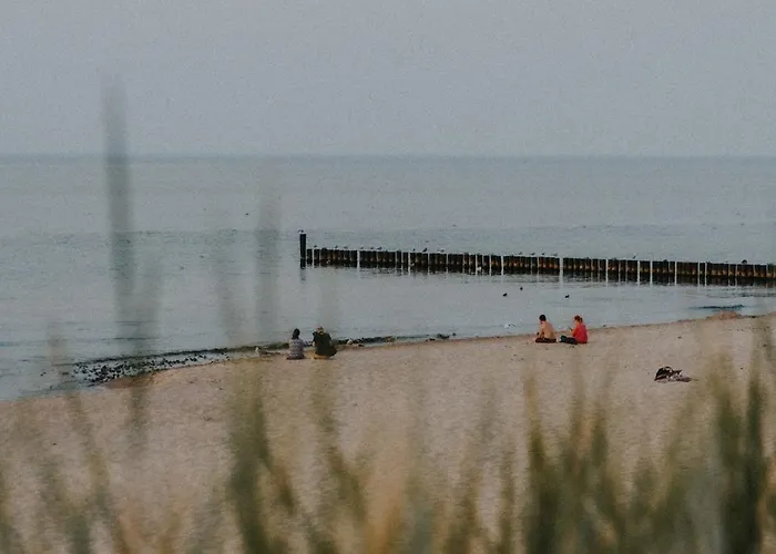 Wierzbówka * Mielno (Koszalin)