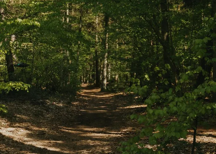 Wierzbówka Lodge Mielno (Koszalin)